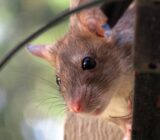 Away from distractions, more concentration!