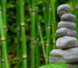 Why you should curate your day and how to do it