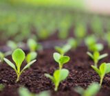 Your time invested profitably every day: What are your EPAs?